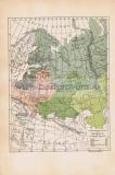 022 Этнографическая карта России в 9 веке.jpg