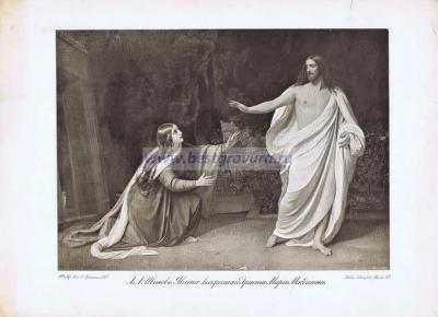 Фотография 0113.jpg