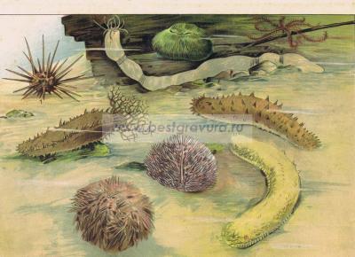 Фотография 0015.jpg