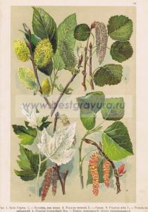 Фотография 0068.jpg