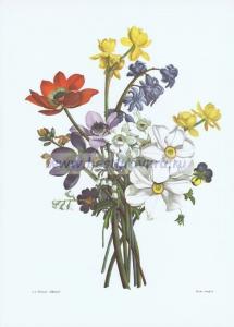 Фотография 0002.jpg