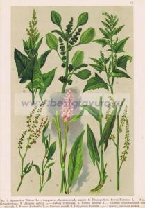 Фотография 0062.jpg