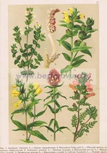 Фотография 0057.jpg