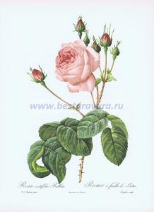 Фотография 0023.jpg