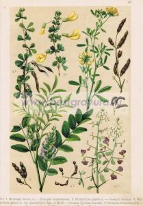 Фотография 0018.jpg