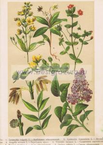 Фотография 0049.jpg