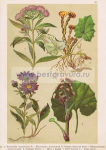 Фотография 0035.jpg