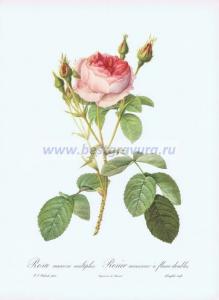 Фотография 0011.jpg