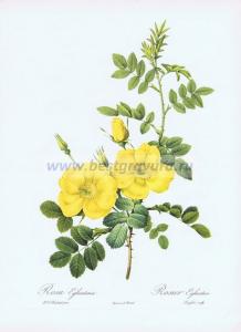 Фотография 0001.jpg