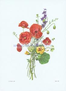 Фотография 0015.jpg