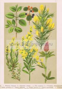 Фотография 0015.jpg