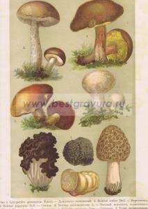 Фотография 0087.jpg