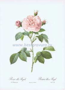 Фотография 0018.jpg