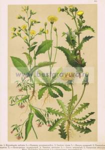 Фотография 0043.jpg