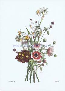 Фотография 0014.jpg