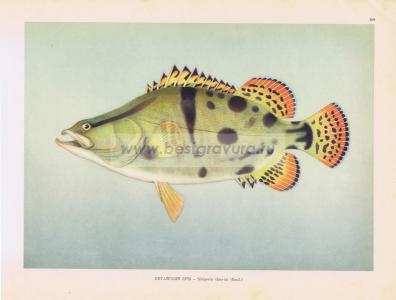 Фотография 0169.jpg