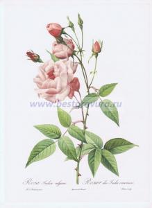 Фотография 0004.jpg