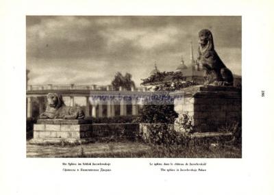 Фотография 0187.jpg