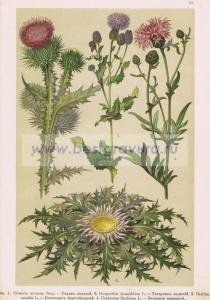 Фотография 0041.jpg