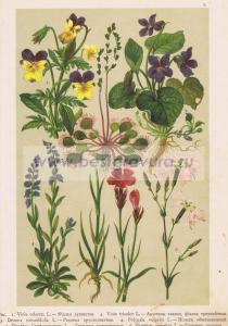 Фотография 0009.jpg