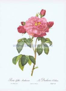 Фотография 0019.jpg