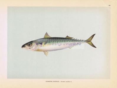 Фотография 0193.jpg