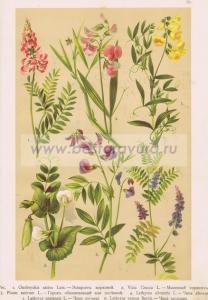 Фотография 0019.jpg