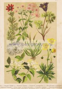 Фотография 0001.jpg