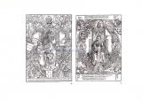 Иллюстрации к Quatuor libri amorum К. Цельтиса.