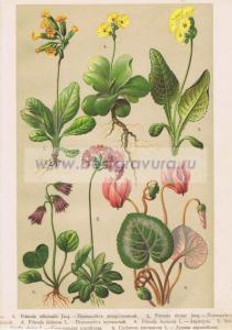 Фотография 0048.jpg