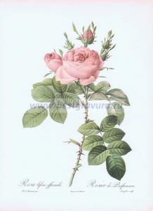 Фотография 0027.jpg