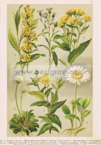 Фотография 0036.jpg