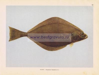 Фотография 0218.jpg