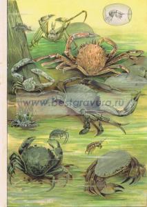 Фотография 0004.jpg