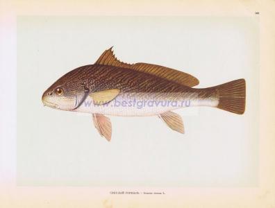 Фотография 0182.jpg