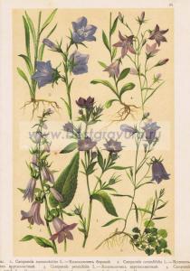 Фотография 0045.jpg