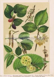 Фотография 0065.jpg