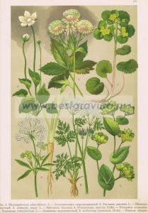 Фотография 0029.jpg