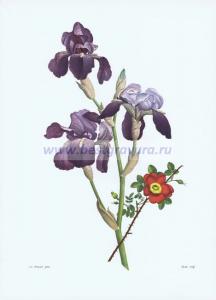 Фотография 0003.jpg