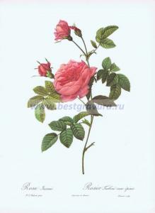 Фотография 0009.jpg