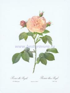 Фотография 0005.jpg