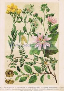 Фотография 0012.jpg