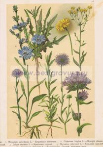 Фотография 0044.jpg