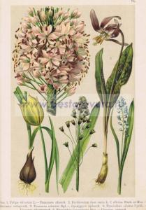 Фотография 0074.jpg