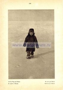 Фотография 0201.jpg