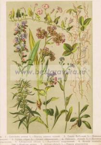 Фотография 0052.jpg