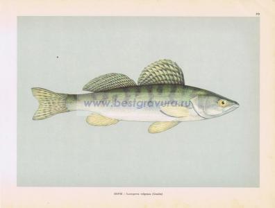 Фотография 0172.jpg