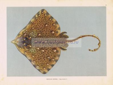 Фотография 0008.jpg