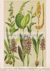 Фотография 0070.jpg