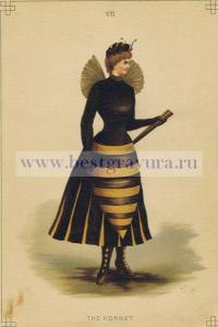 Лист 7. Шершень.